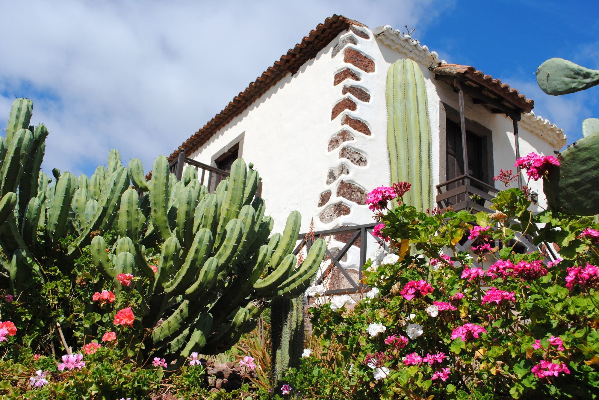 Hotel El Olivar - La Molienda à Santa Lucía Extérieur photo